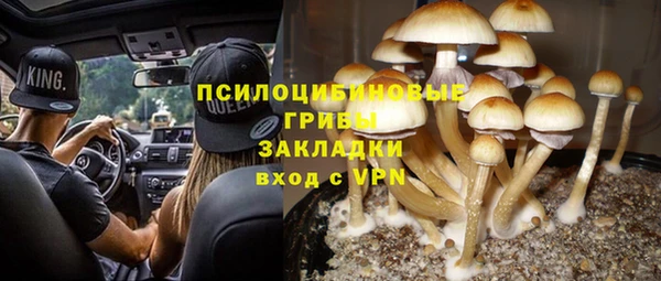 spice Арсеньев