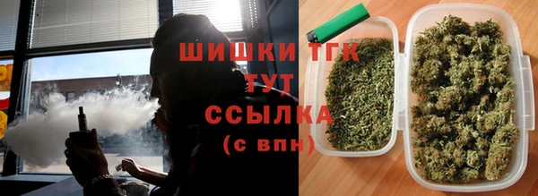 spice Арсеньев