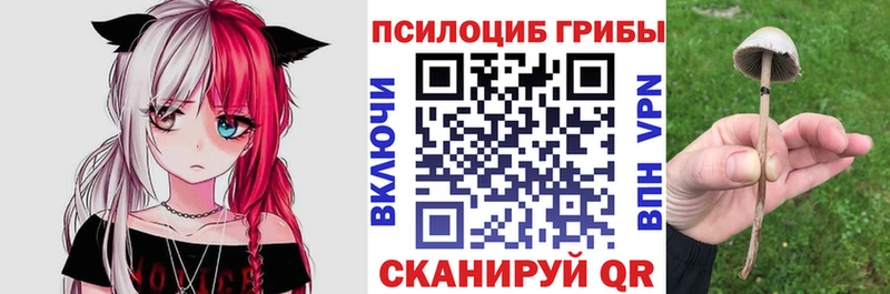 Галлюциногенные грибы Psilocybine cubensis  дарк нет телеграм  Нефтекамск  даркнет сайт 